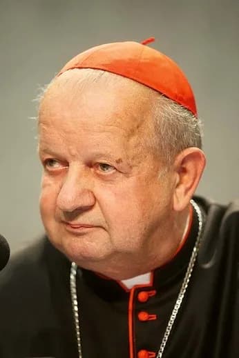 Kardynał Stanisław Dziwisz: nieznane fakty z życia i kontrowersje w Kościele